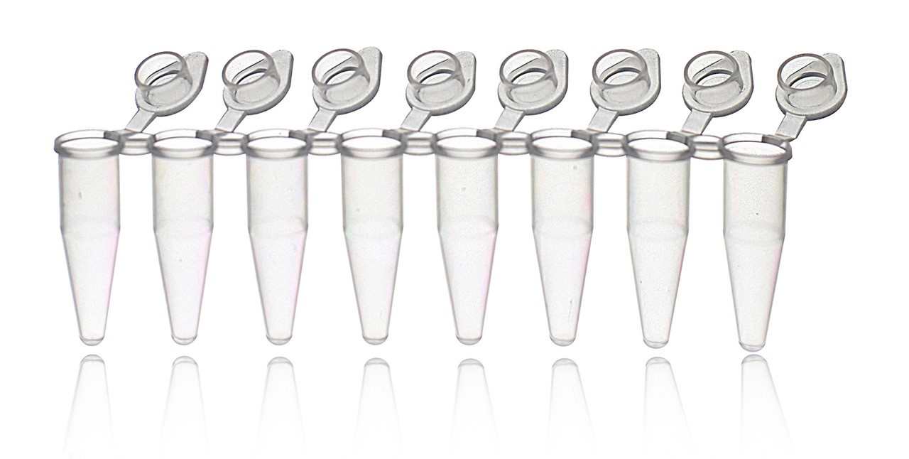 LabQ PCR Tubes with attached caps at LabConsulting in Vienna